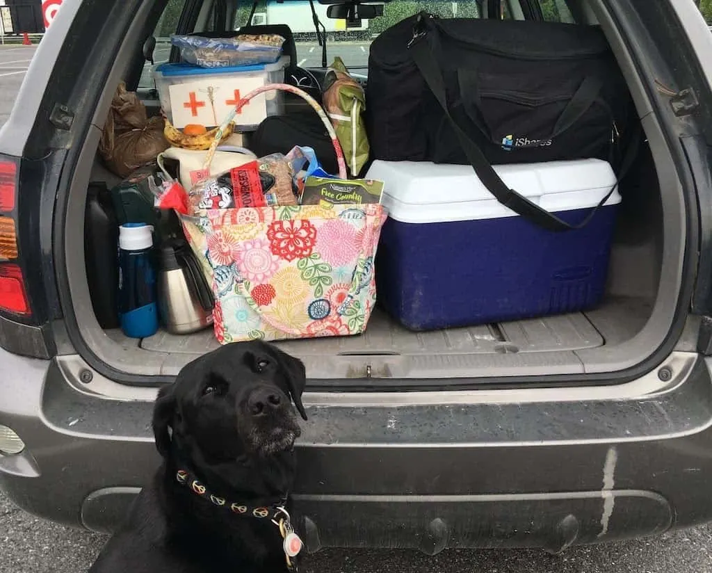The trunk of a car full of luggage with a black dog sitting in front of it.