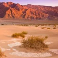 cropped-death-valley-national-park.jpg