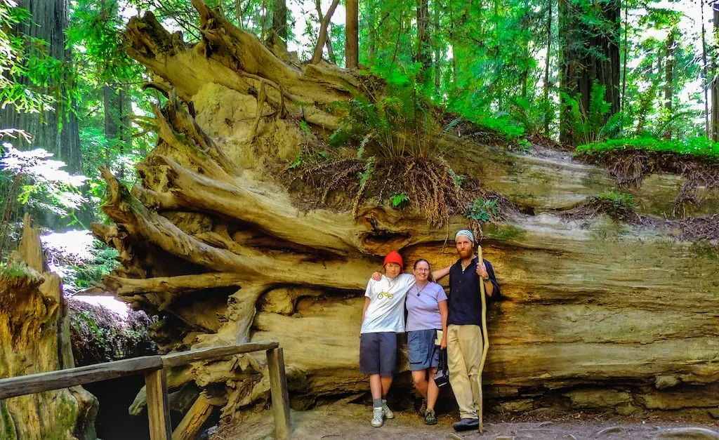 Our family leaning up against a Redwood tree in California.