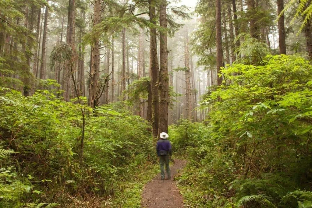 A man stands on a trail in Olympic National Park.