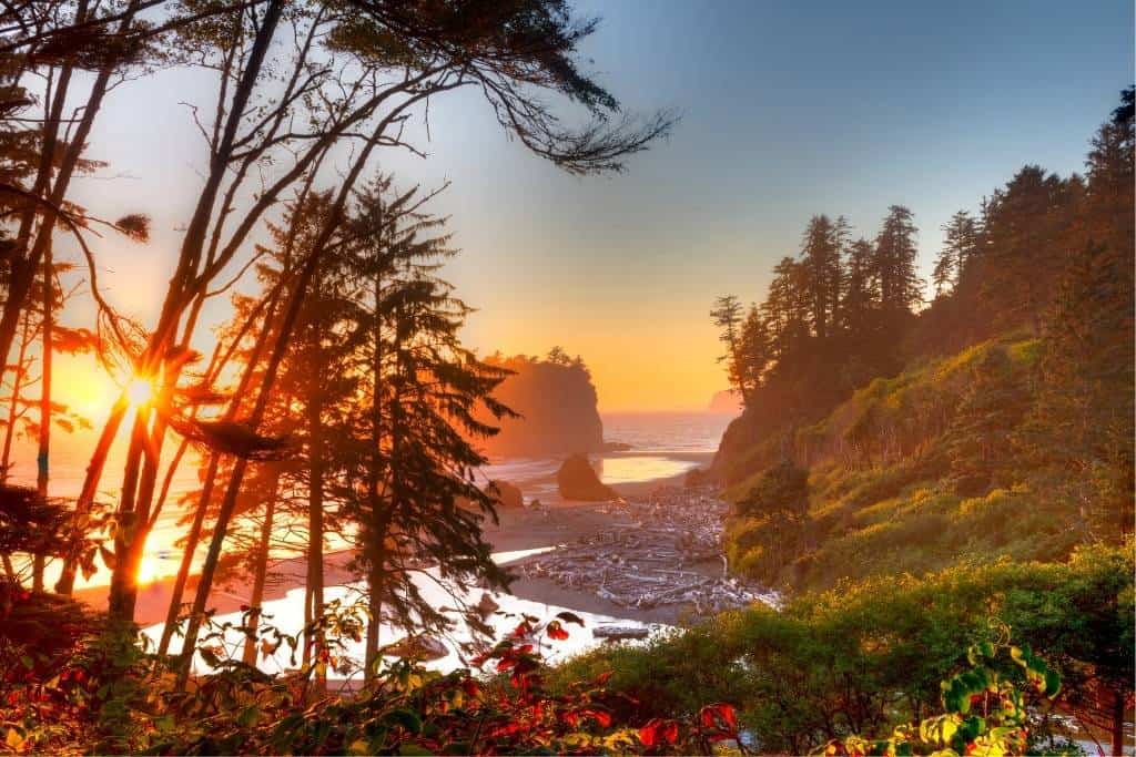 Ruby Beach in Olympic National Park, Washington