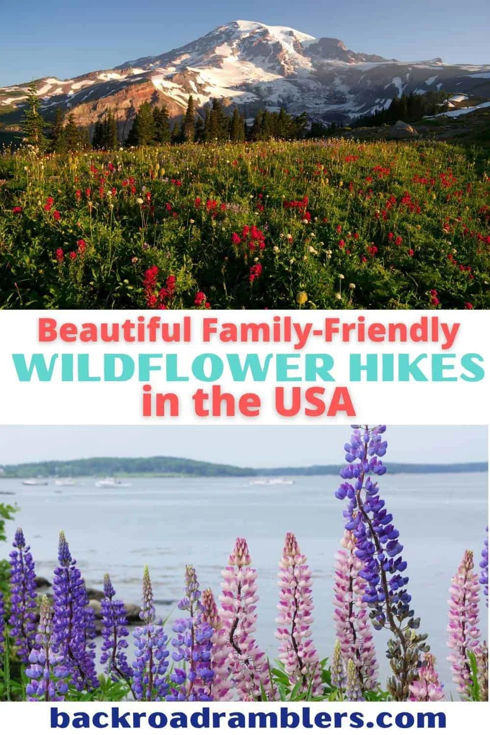 Two photos featuring wildflower hikes in the United States. Text overlay: Beautiful, family-friendly wildflower hikes in the USA.