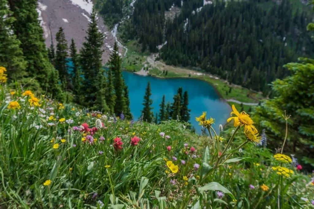Blue Lake trail with wildflowers in Colorado.