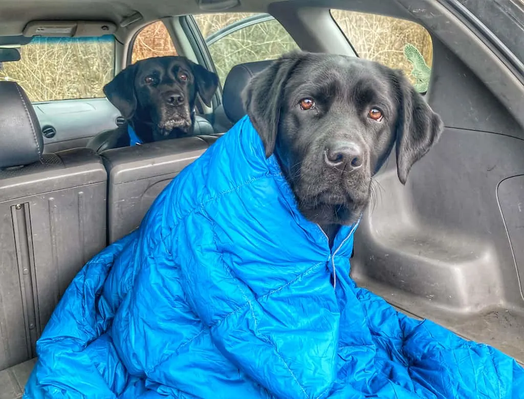 Malinda enjoying the warmth of a down puffy blanket in the back of our car.