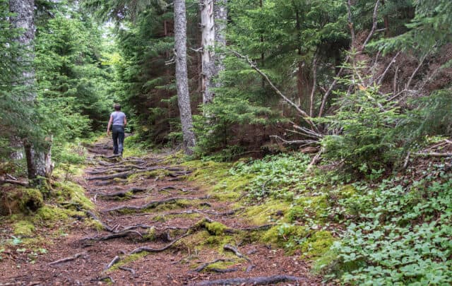 A Complete Guide to Fundy National Park Camping