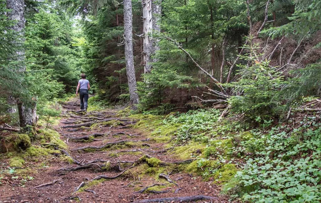 A woman hikes on the Kinne Brook Trail in Fundy National Park, New Brunswick.