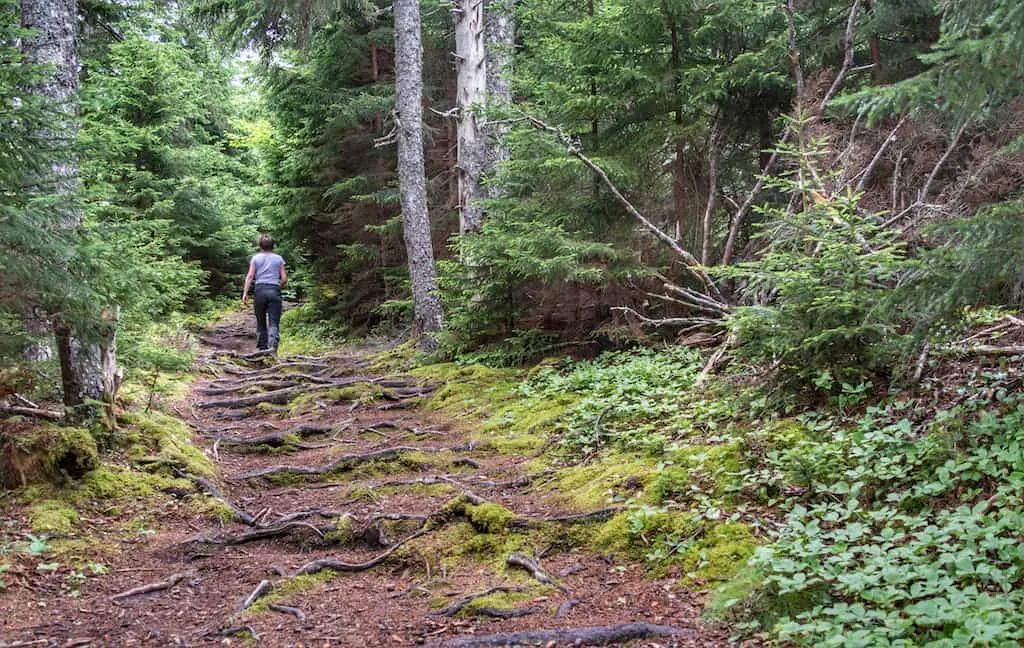 Latest travel itineraries for Fundy National Park Of Canada in