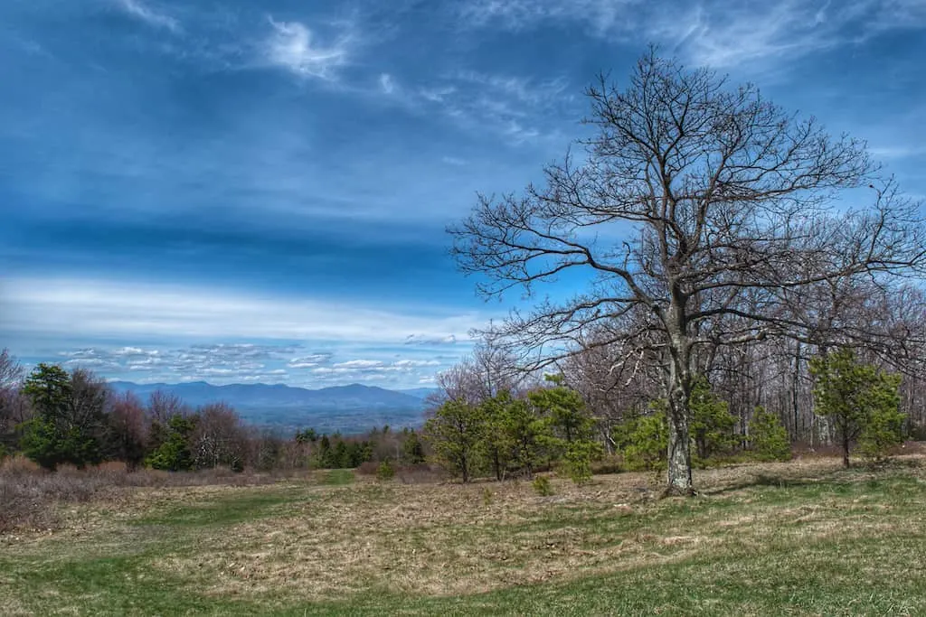 The upper meadows in Minnewaska State Park in New York.