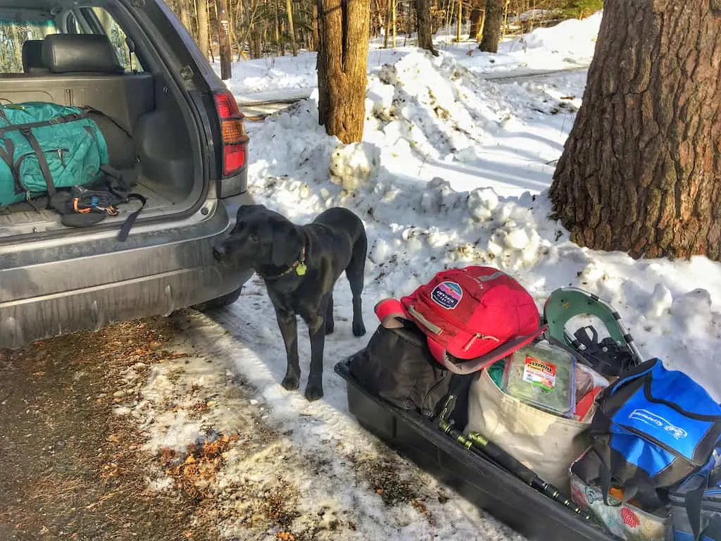 Flynn the labrador stands next to a sled full of travel gear on a winter road trip.