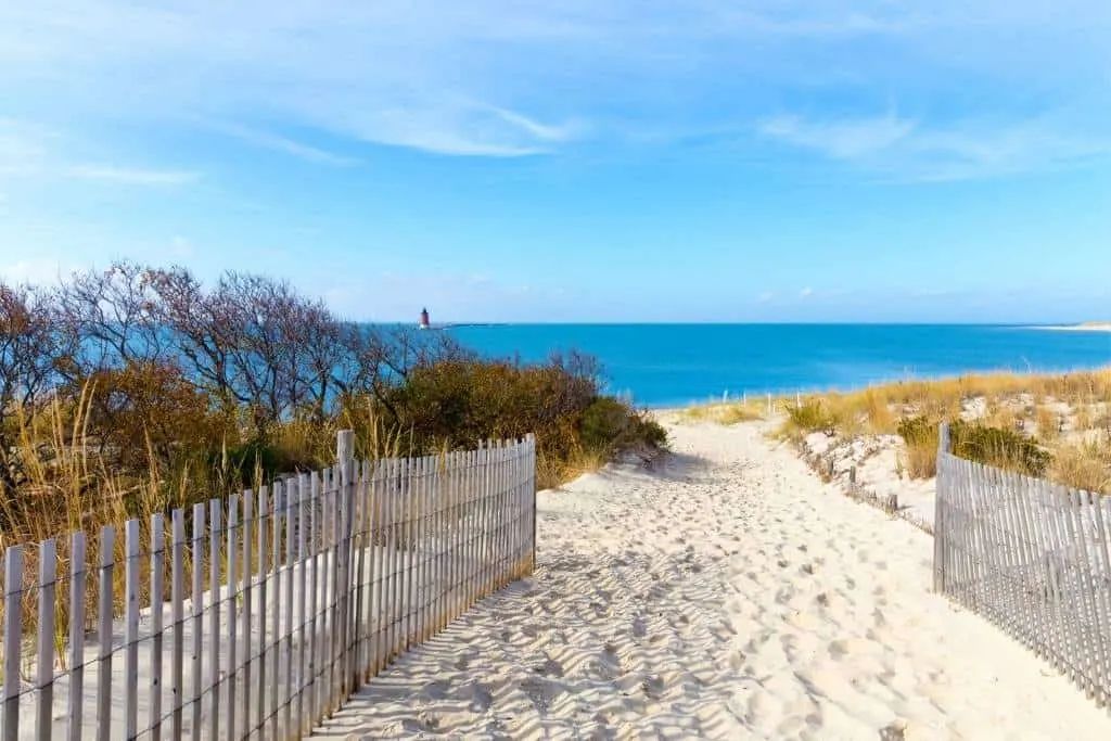 The beach at Cape Henlopen State Park.
