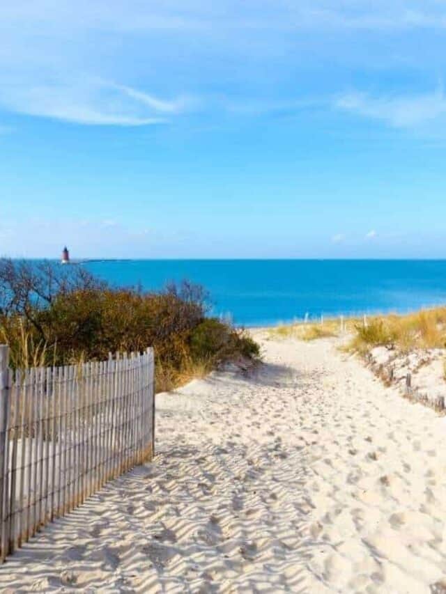 cropped-Cape-Henlopen-State-Park-beach.jpeg