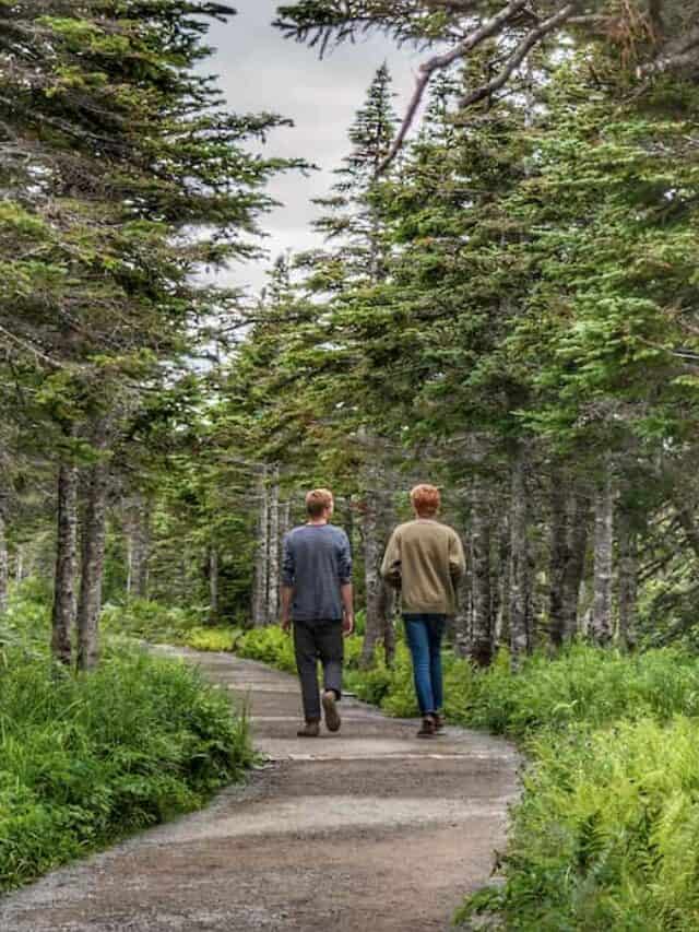 cropped-Rowan-Gabe-Cape-Breton.jpg