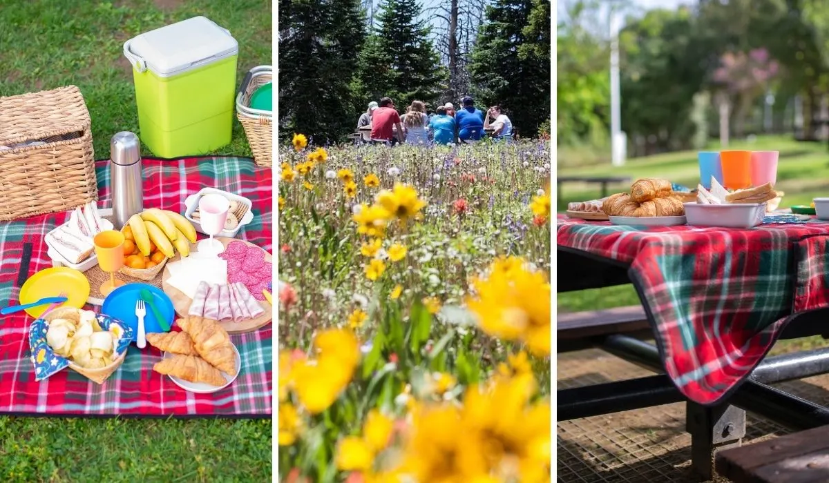 A collage of photos featuring road trip picnic ideas.