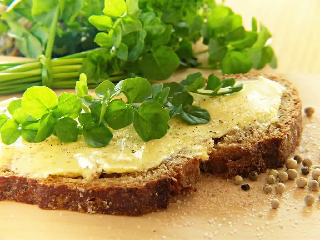 Watercress laying on top of a slice of bread.