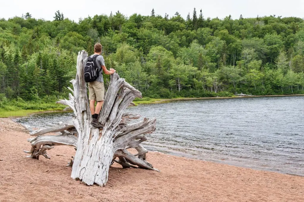 A hiker standing on an old tree stump near Warren Lake in Cape Breton Highlands National Park.