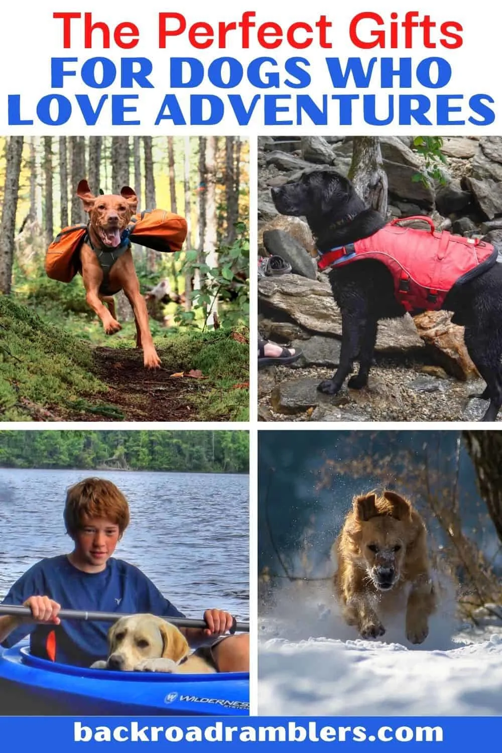 A collage of photos featuring adventurous dogs. Text overlay: The Perfect Gifts for Dogs who Love Adventures