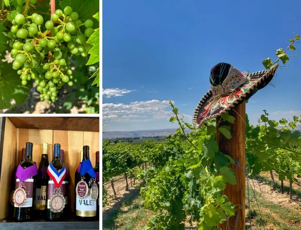 A collage of photos featuring the vineyards and wines of Hat Ranch Winery in Caldwell, Idaho - part of the Sunnyslope Wine Trail.