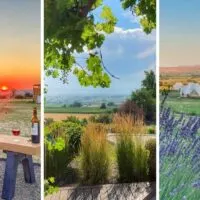 A collage of photos featuring the wineries in Caldwell Idaho.
