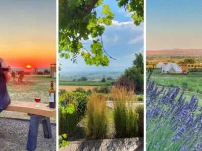 Discover the Sunnyslope Wine Trail in Caldwell, Idaho