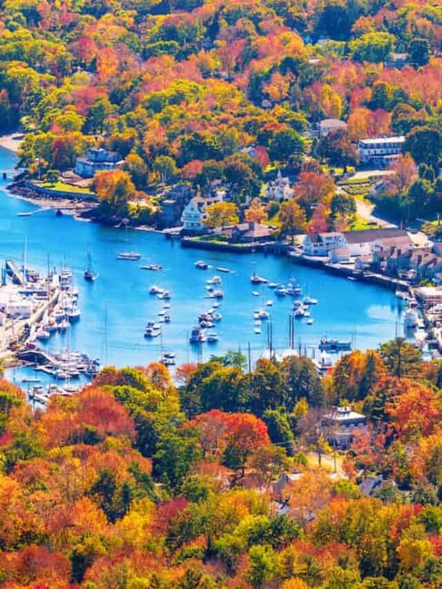 cropped-camden-maine-fall-camping.jpeg