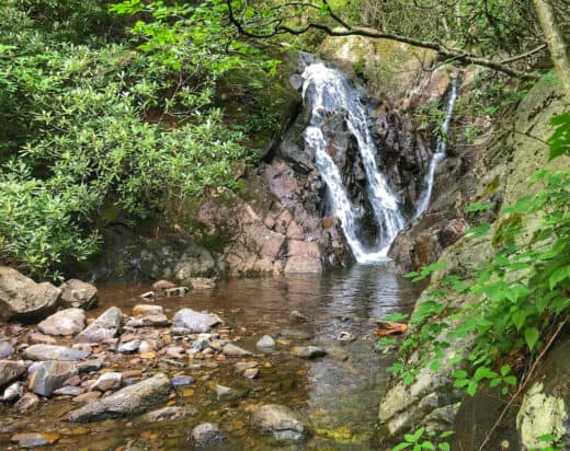 The Best Things to Do in Grayson Highlands State Park in Virginia