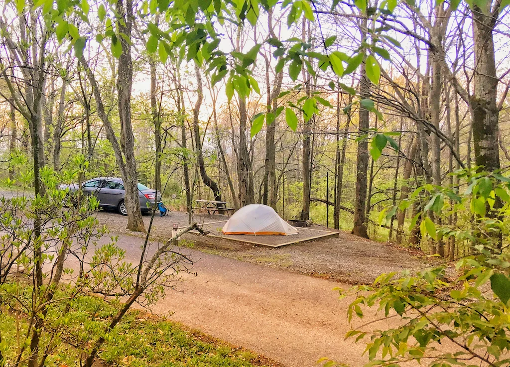 Hickory Ridge Campground in Grayson Highlands State Park in Virginia.