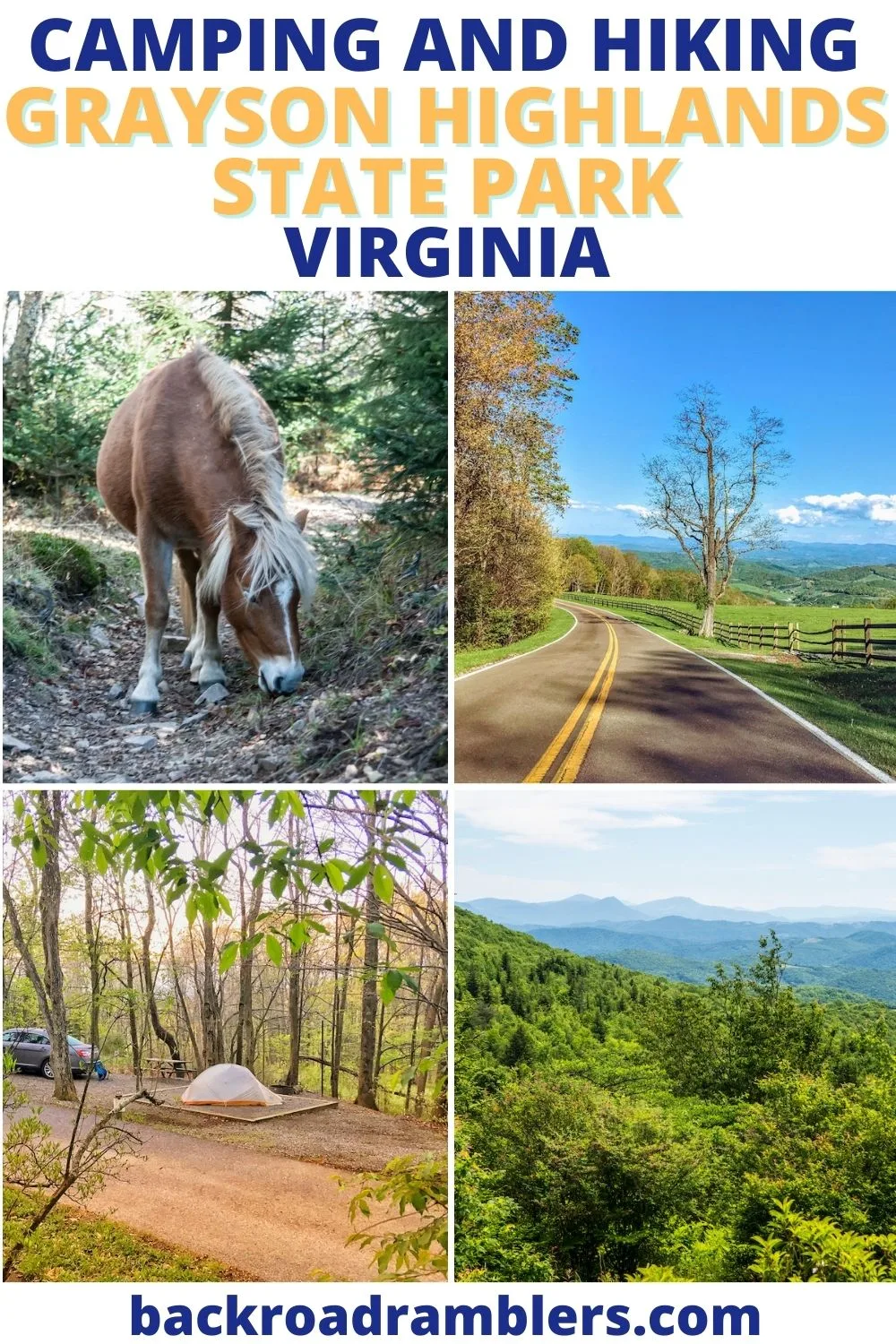 The Best Things to Do in Grayson Highlands State Park in Virginia