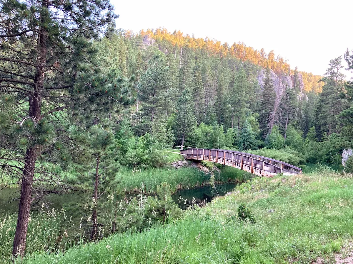 Part of the path around Horsethief Lake in the Black HIlls of South Dakota.
