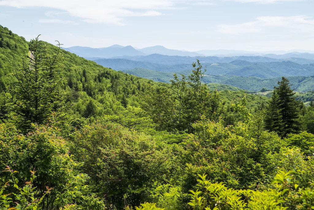 Hiking and Camping at Grayson Highlands State Park in Virginia 1 A summer view of the Appalachian Mountains in Grayson Highlands State Park, Virginia.