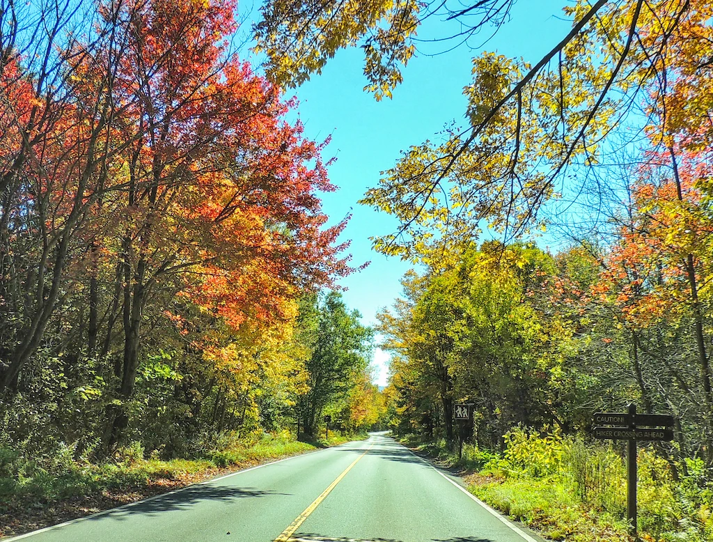 The road to the top of Mt. Greylock in the fall.