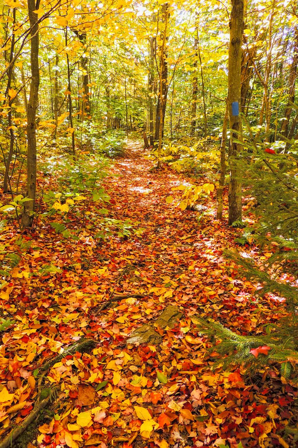 trail march cataract falls berkshires