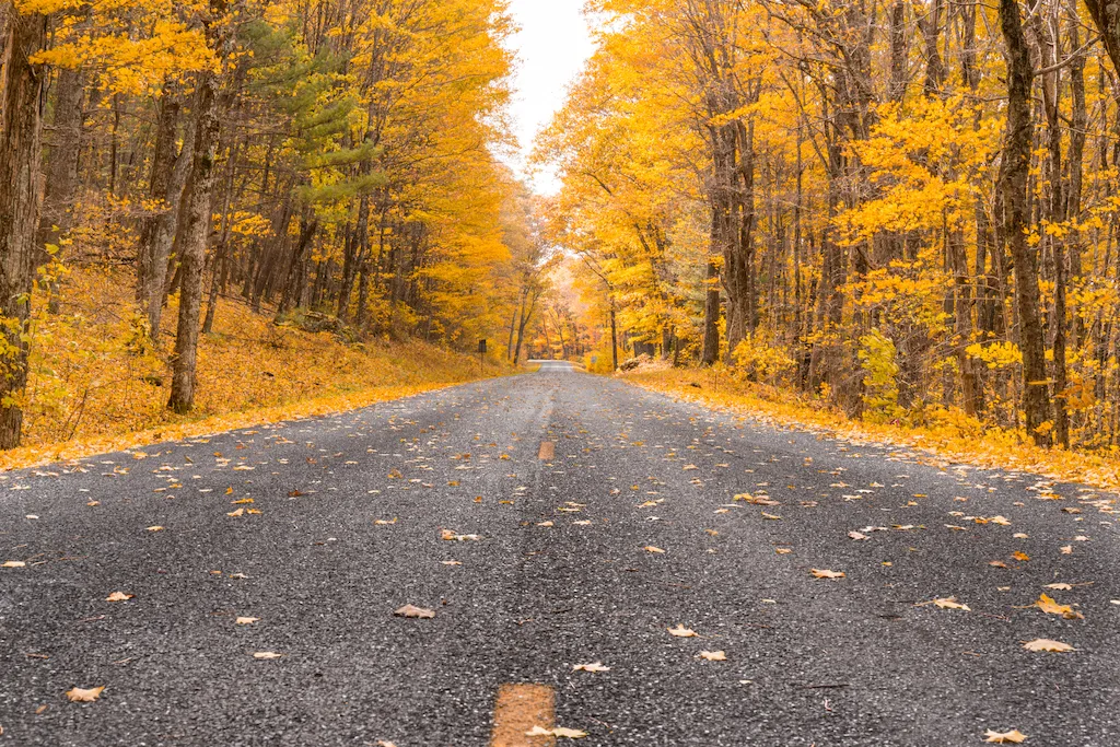 Fall foliage along the Blue Ridge Parkway.