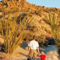 cropped-joshua-tree-with-kids.jpeg