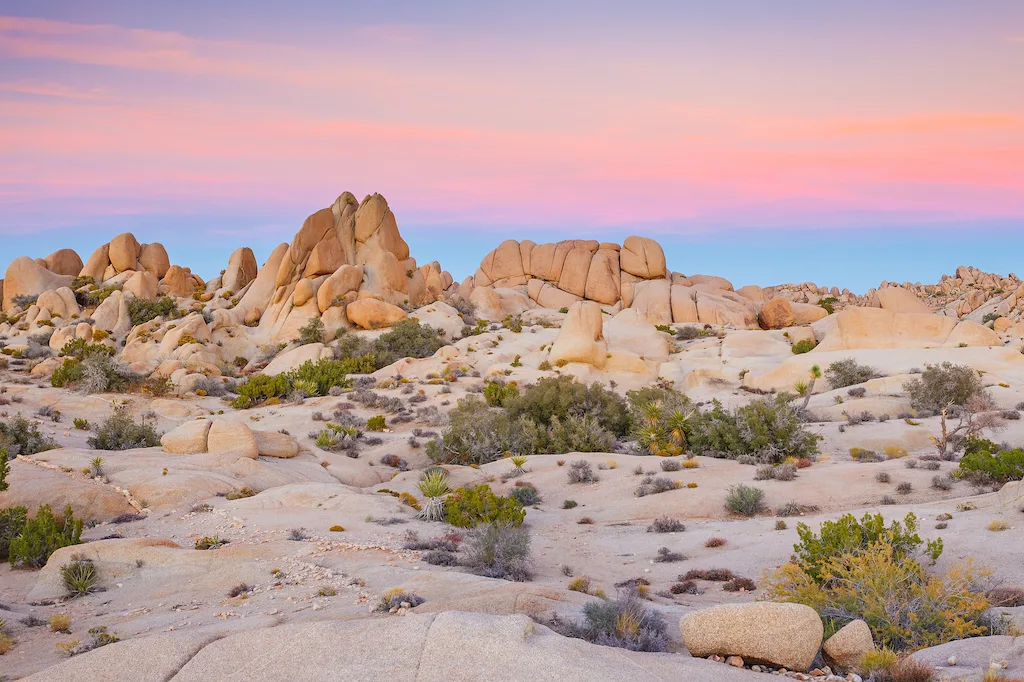 Sunrise in Joshua Tree National Park, California.
