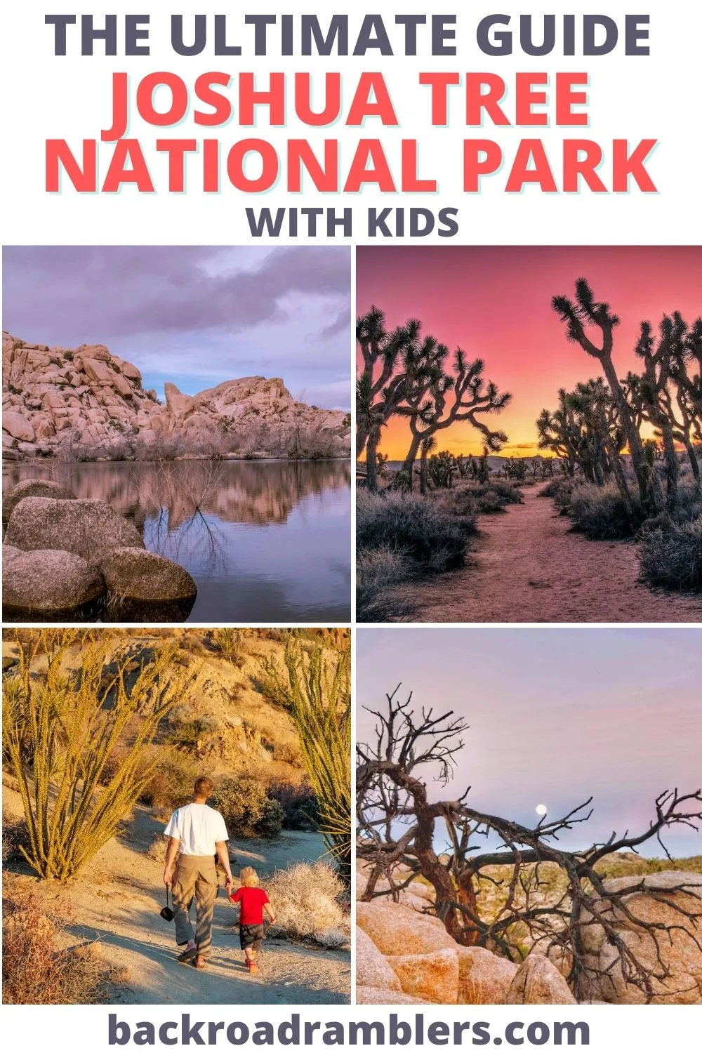 joshua tree national park with kids