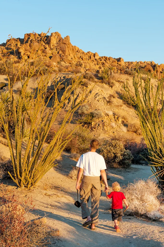 A man walks in Joshua Tree National Park with kids.