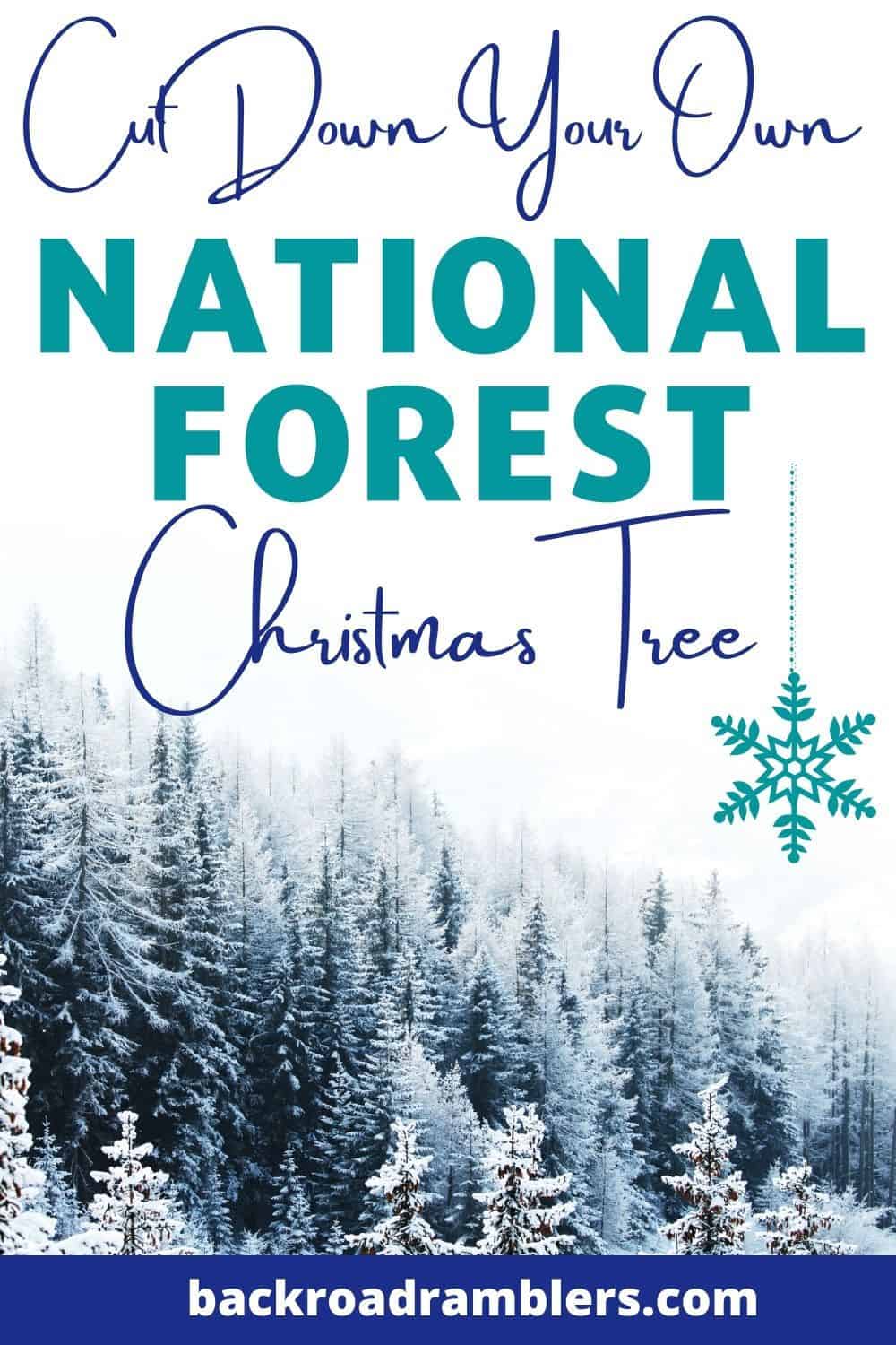 A winter scene showing a spruce forest covered with snow. Text overlay: Cut Down Your Own National Forest Christmas Tree.