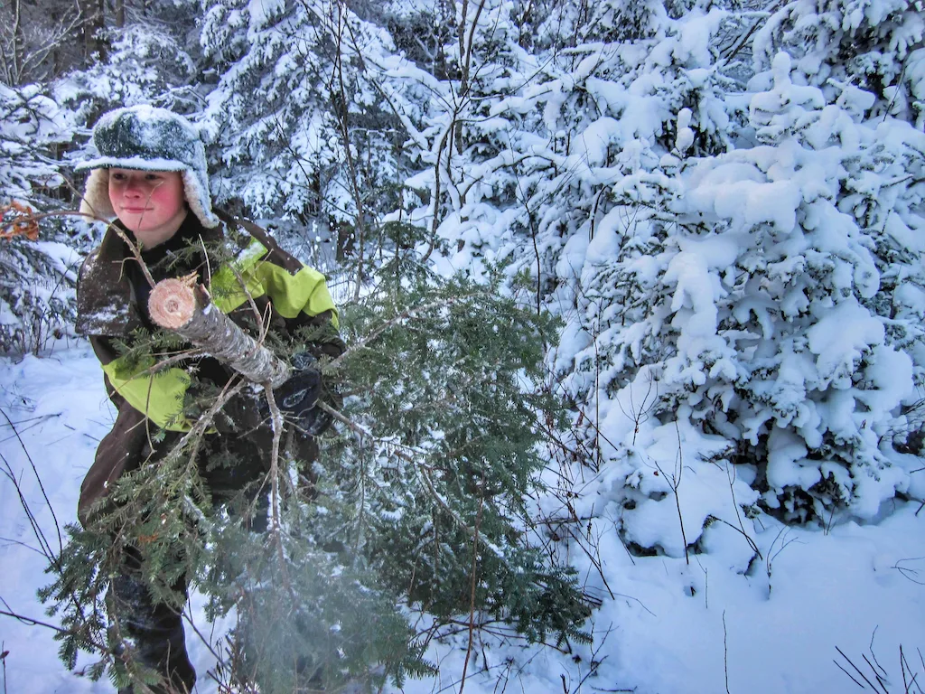 Rowan dragging our wild Christmas tree out of the Green Mountain National Forest.