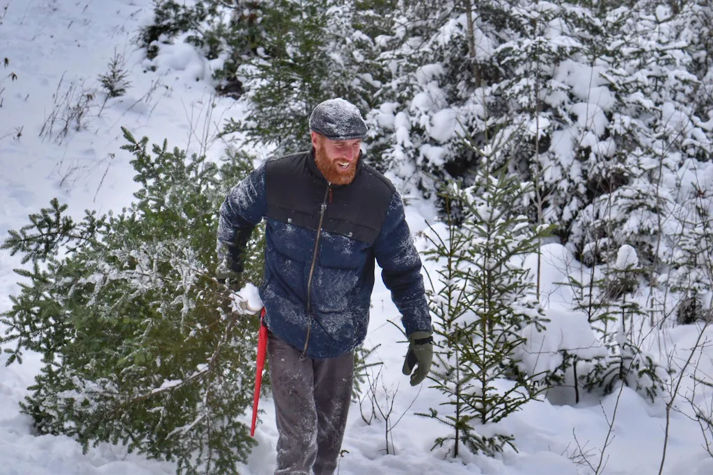 Eric dragging our wild Christmas tree out of the national forest.
