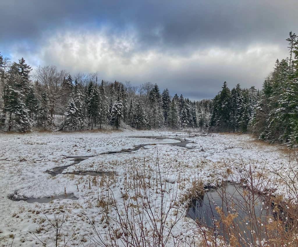 The beautiful Green Mountain National Forest covered with snow.