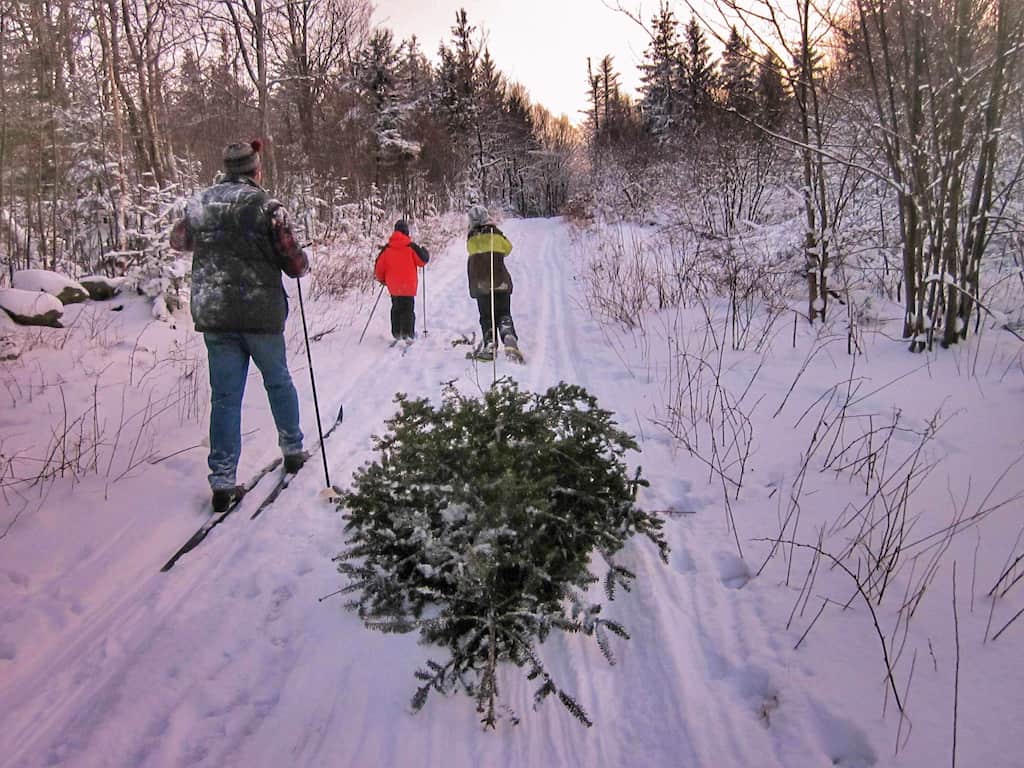 Skiing back to the car with our National Forest Christmas Tree.