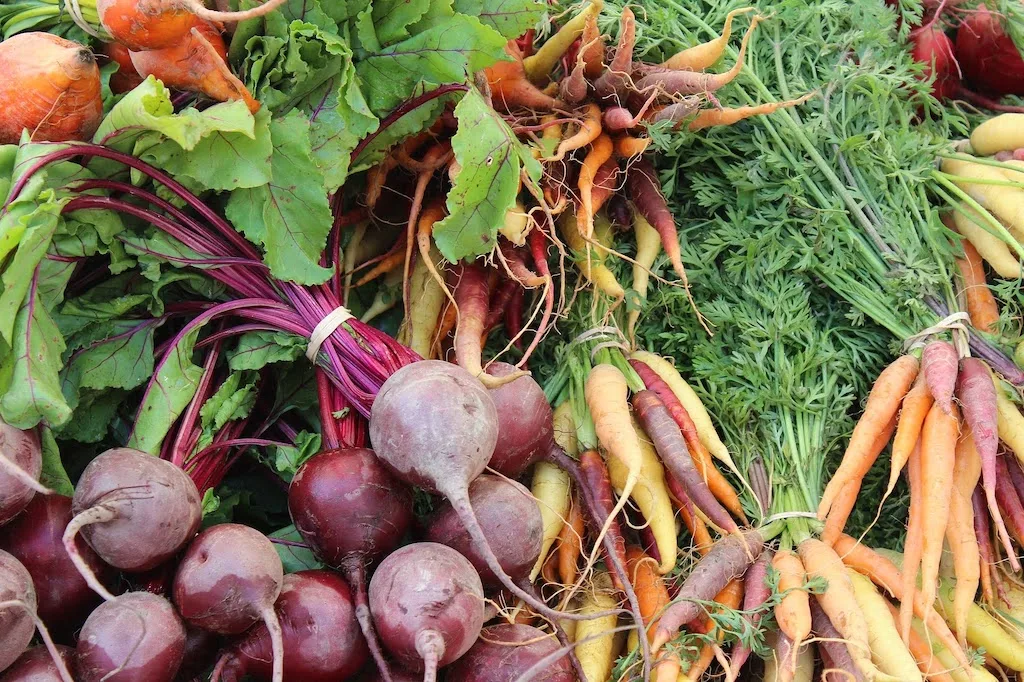 Beets and carrots on display at a local farmers' market.
