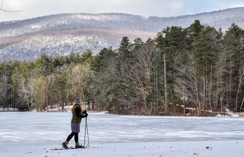 winter lake shaftsbury state park vt