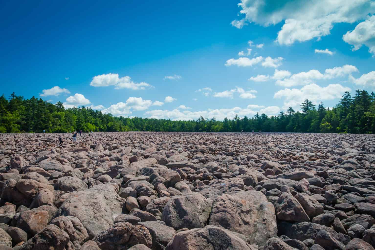 The Boulder Field in Hickory Run State Park in Pennsylvania.