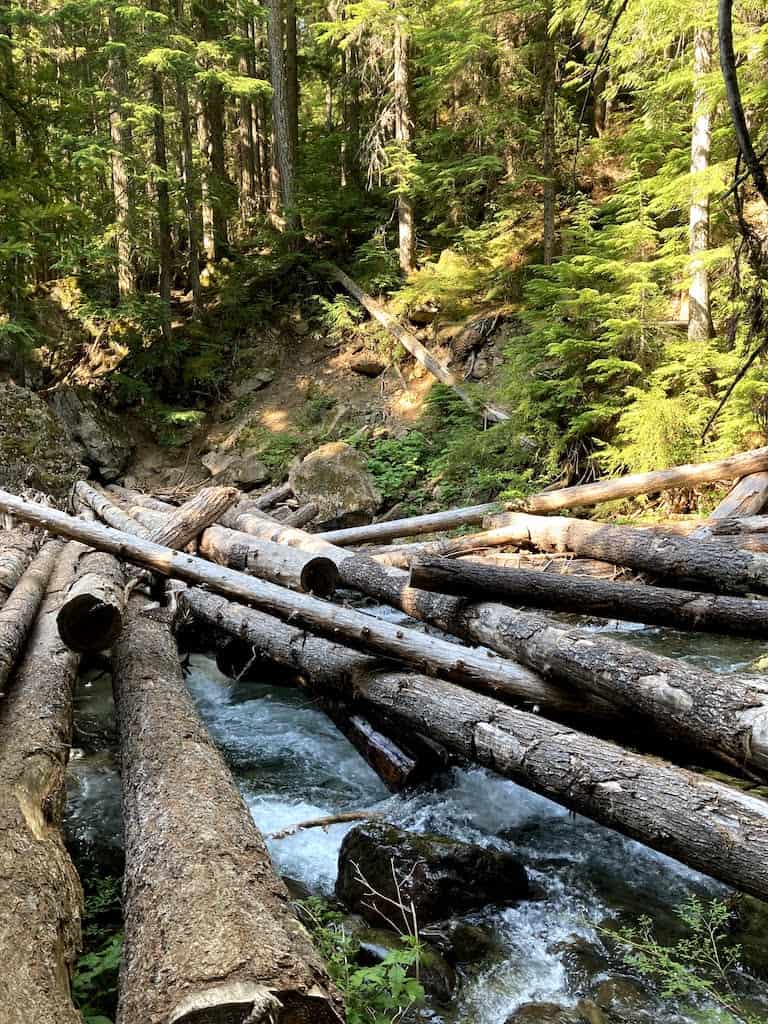 A log jam stream crossing over Box Creek on the Little Kachess Trail in Washington.