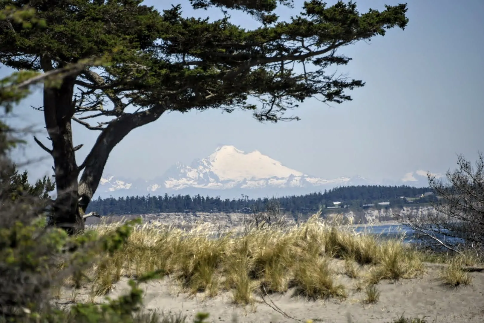 The view from the campground at Fort Worden State Park.