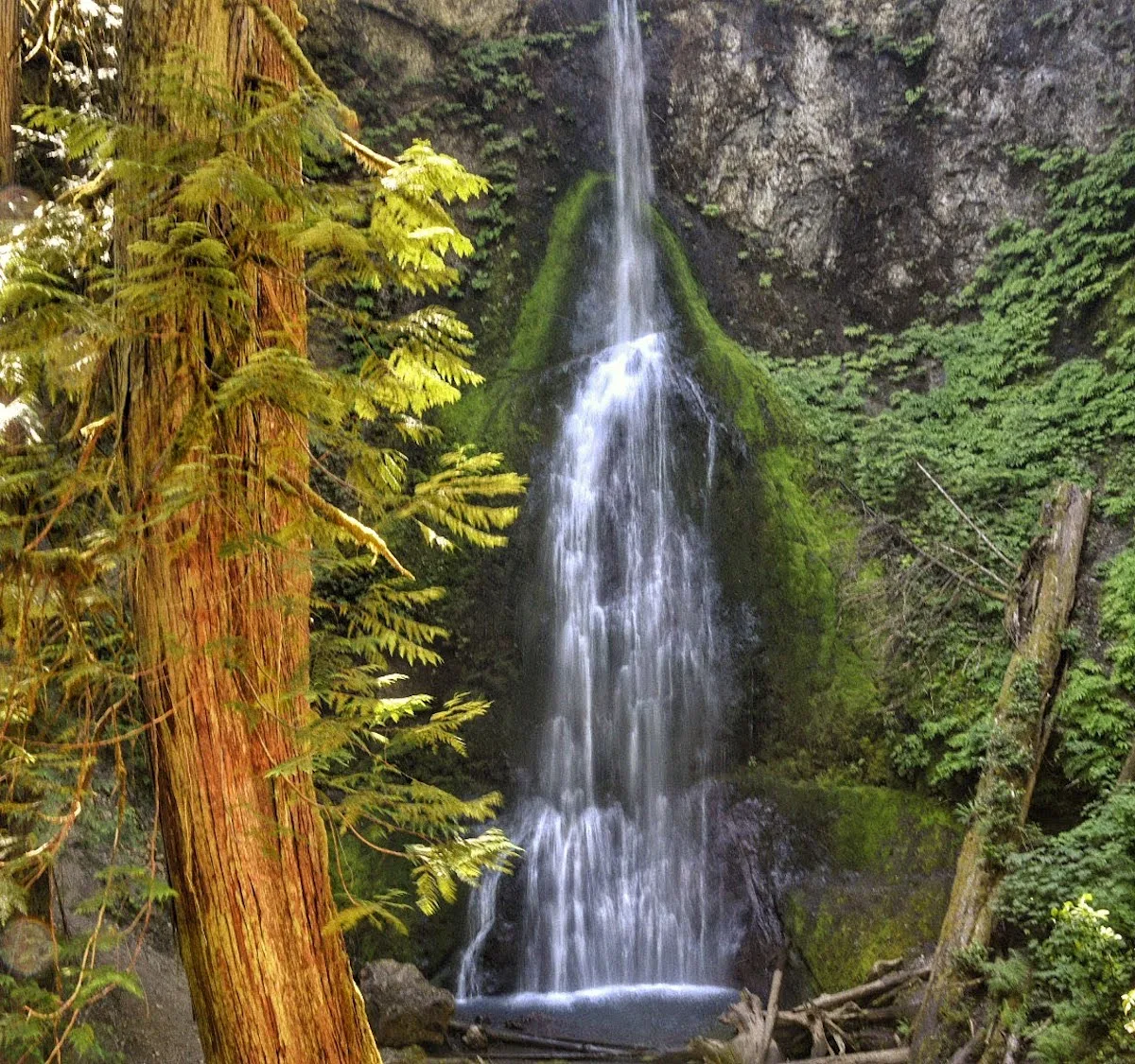 Marymere Falls in Olympic National Park.