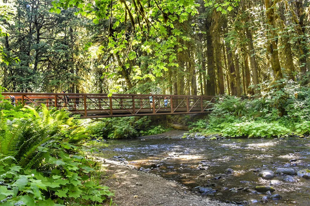 Barnes Creek Bridge in Olympic National Park on the Marymere Falls Trail.