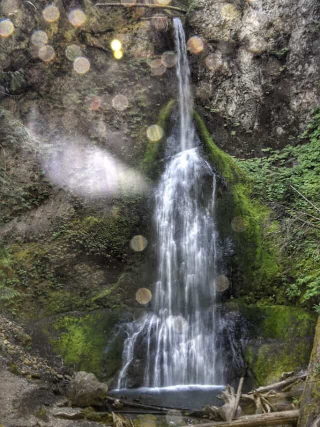 cropped-marymere-falls-portrait.jpeg