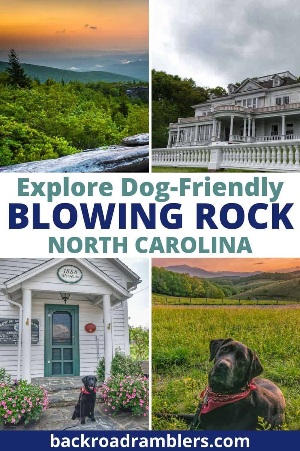 dog friendly blowing rock